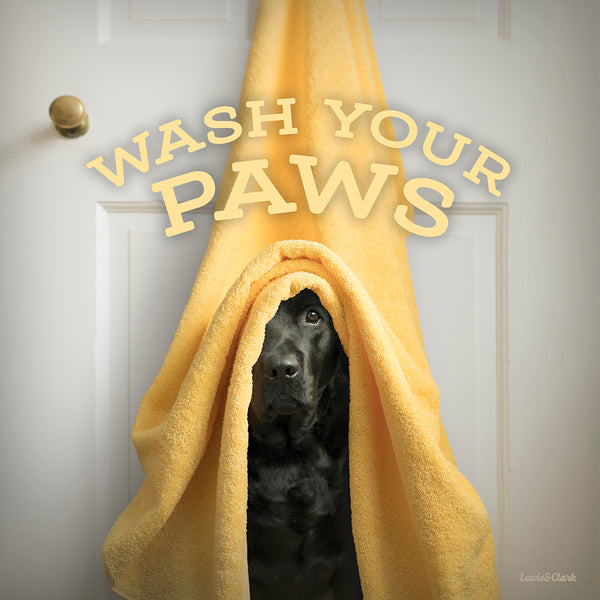 "Wash Your Paws" Black Labrador Dog Art on Canvas - Bathroom Wall Art Decor for Dog Lovers