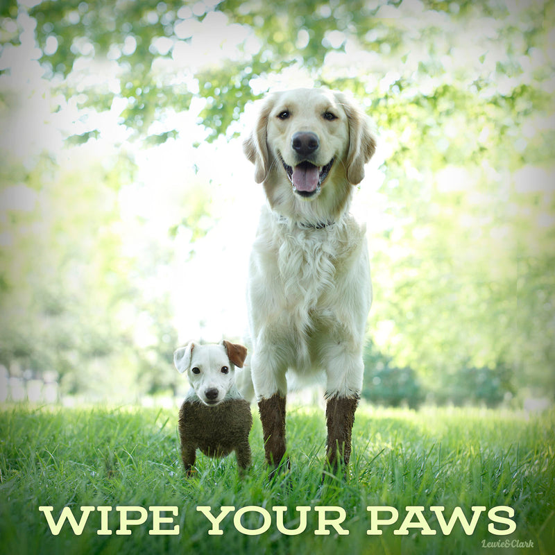 "WIPE YOU PAWS" Canvas featuring Jack Russell Terrier and Golden Retriever. Perfect Wall Decor for Entryway, Mudroom, Gift for Dog Lover