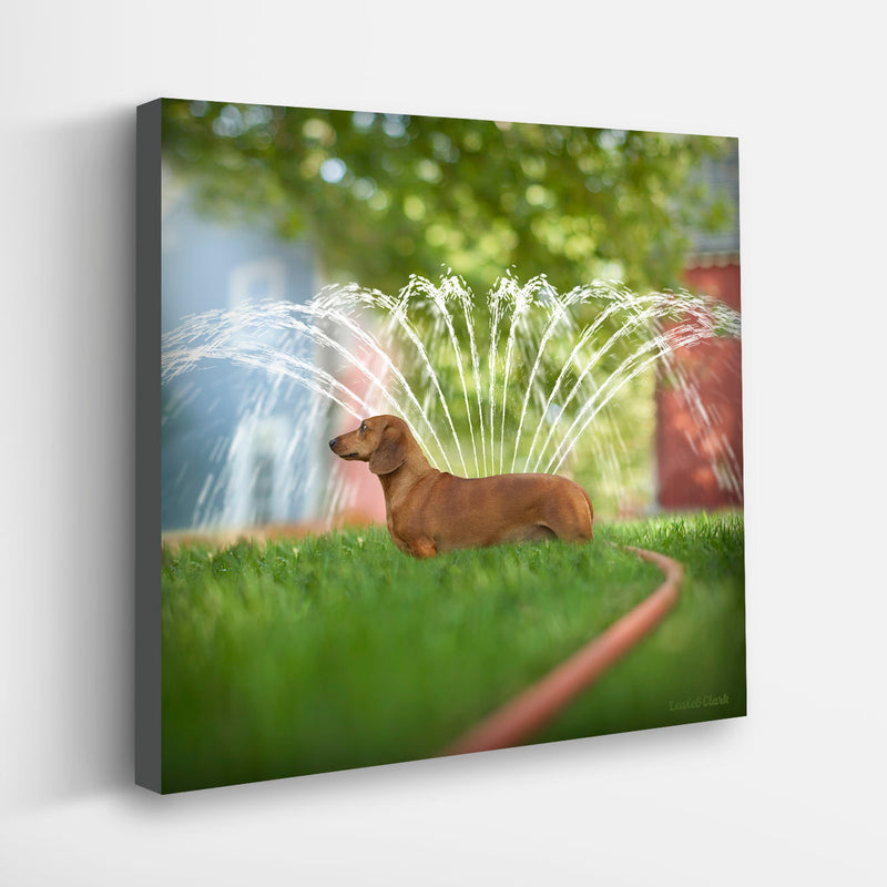 YARDLEY Summer Dog Art - Daschund, Doxie Lover Wall Decor