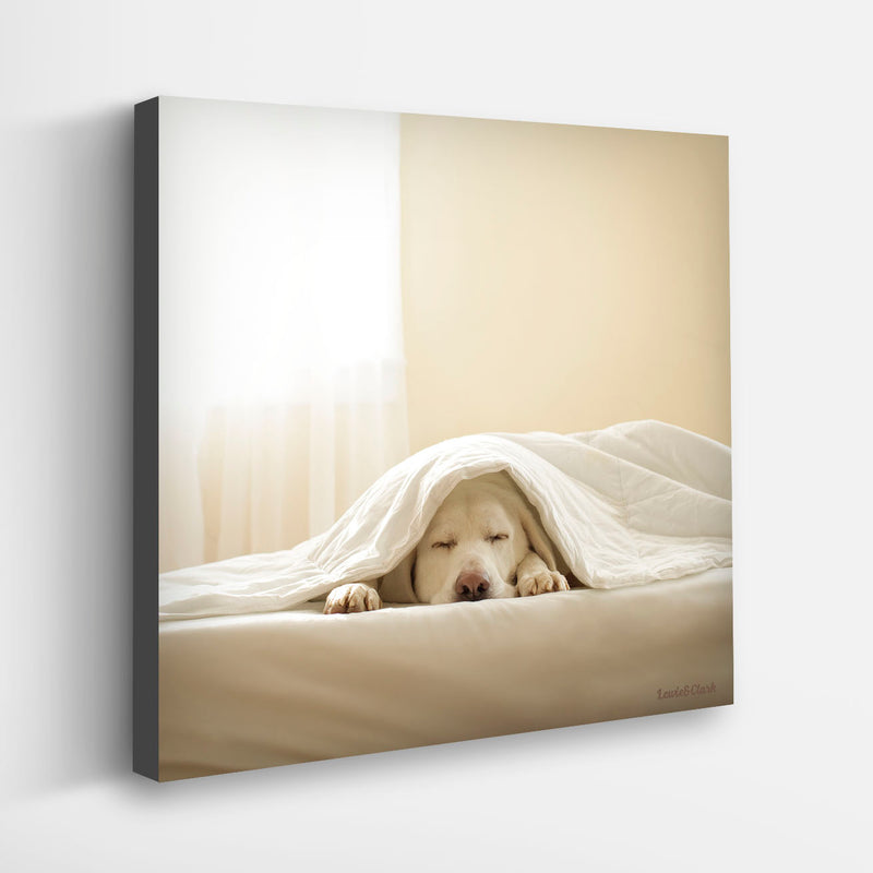 ZEE Dog Wall Canvas Art Print - Yellow Dog in Bed Picture for Bedroom